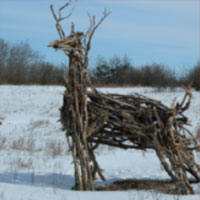 SK Arts - Brightwater Science, Environmental Learning Centre