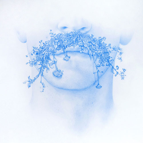 Moustache No. 2, from Wildman Series