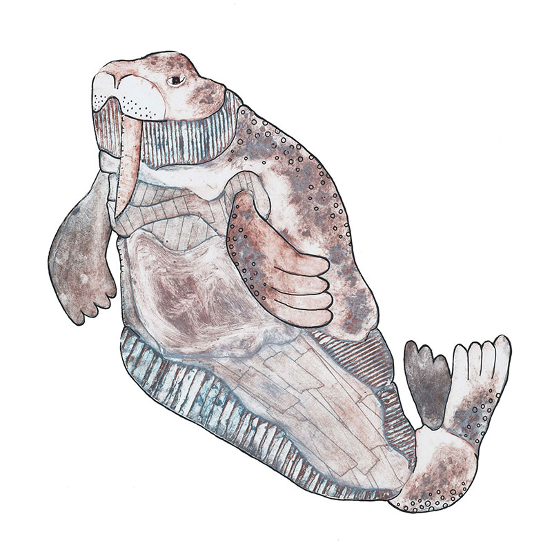 Yonina Rollack - Drawing of floating animal that looks like a walrus